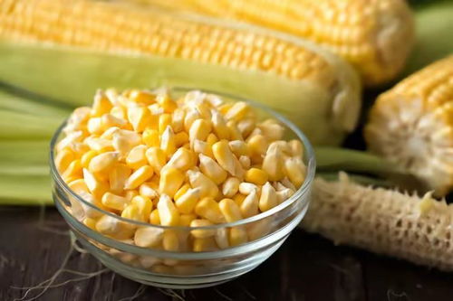 轉(zhuǎn)基因食品 全球爭議與中國實踐