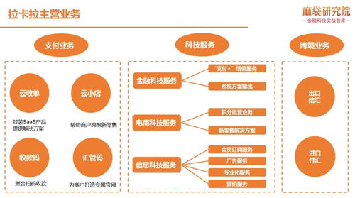 拉卡拉的信息系統(tǒng)集成服務(wù) 如何實現(xiàn)無縫協(xié)同與高效運(yùn)營